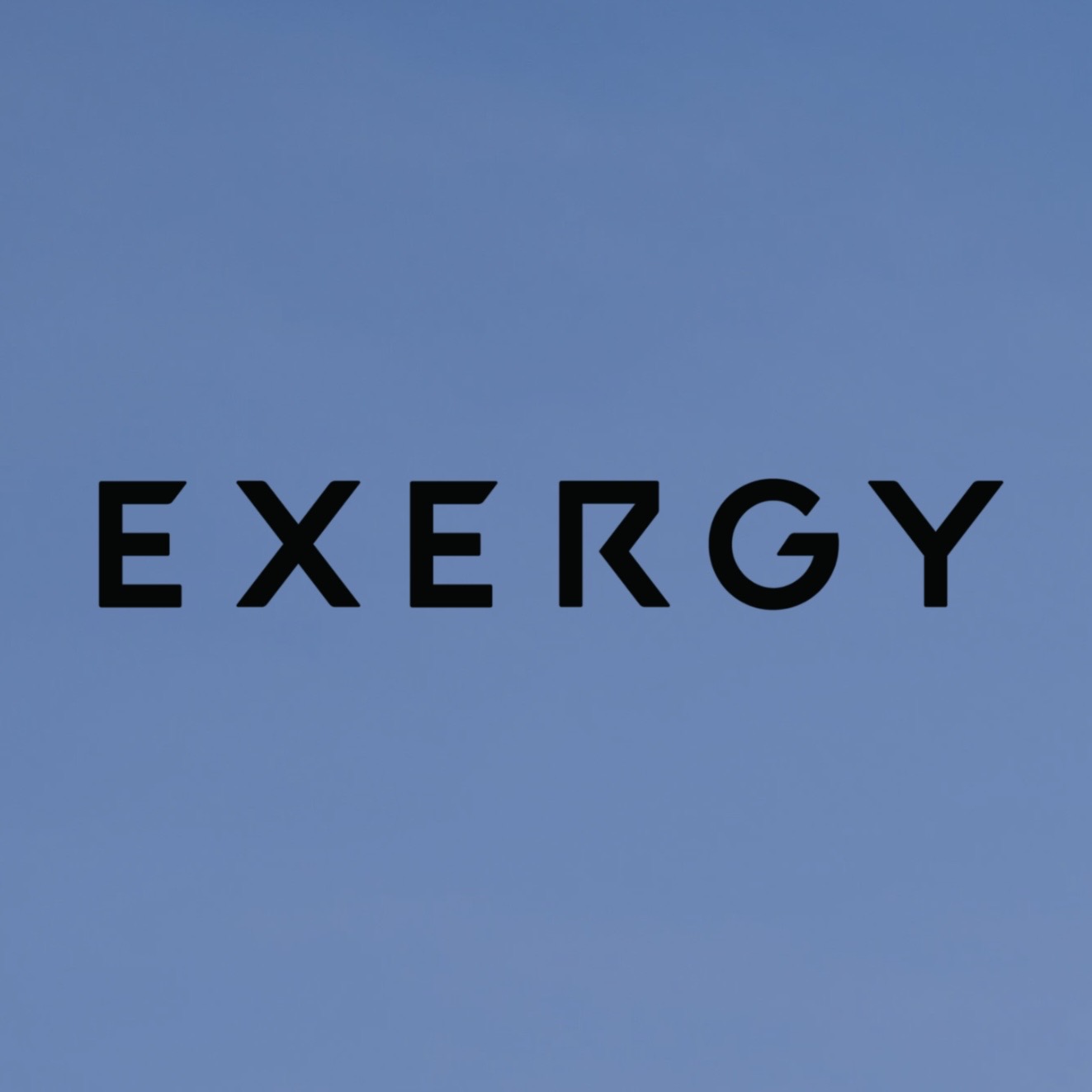 Exergy company logo